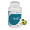 Garcinia Premium actifs