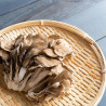 Maitake en poudre Bio