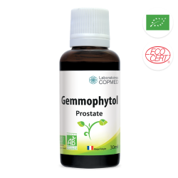 Gemmophytol prostate