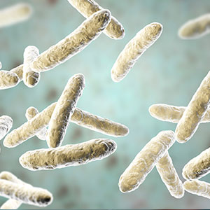 Microbiote intestinal