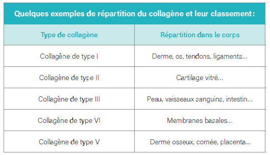 Intérêts et utilisation du collagène